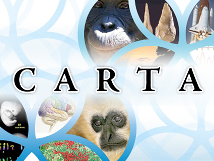 carta.jpg